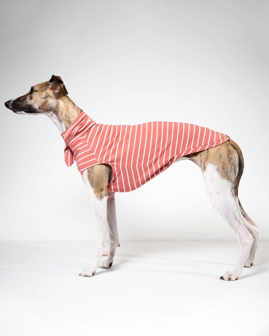coral tie neck whippet clothing
