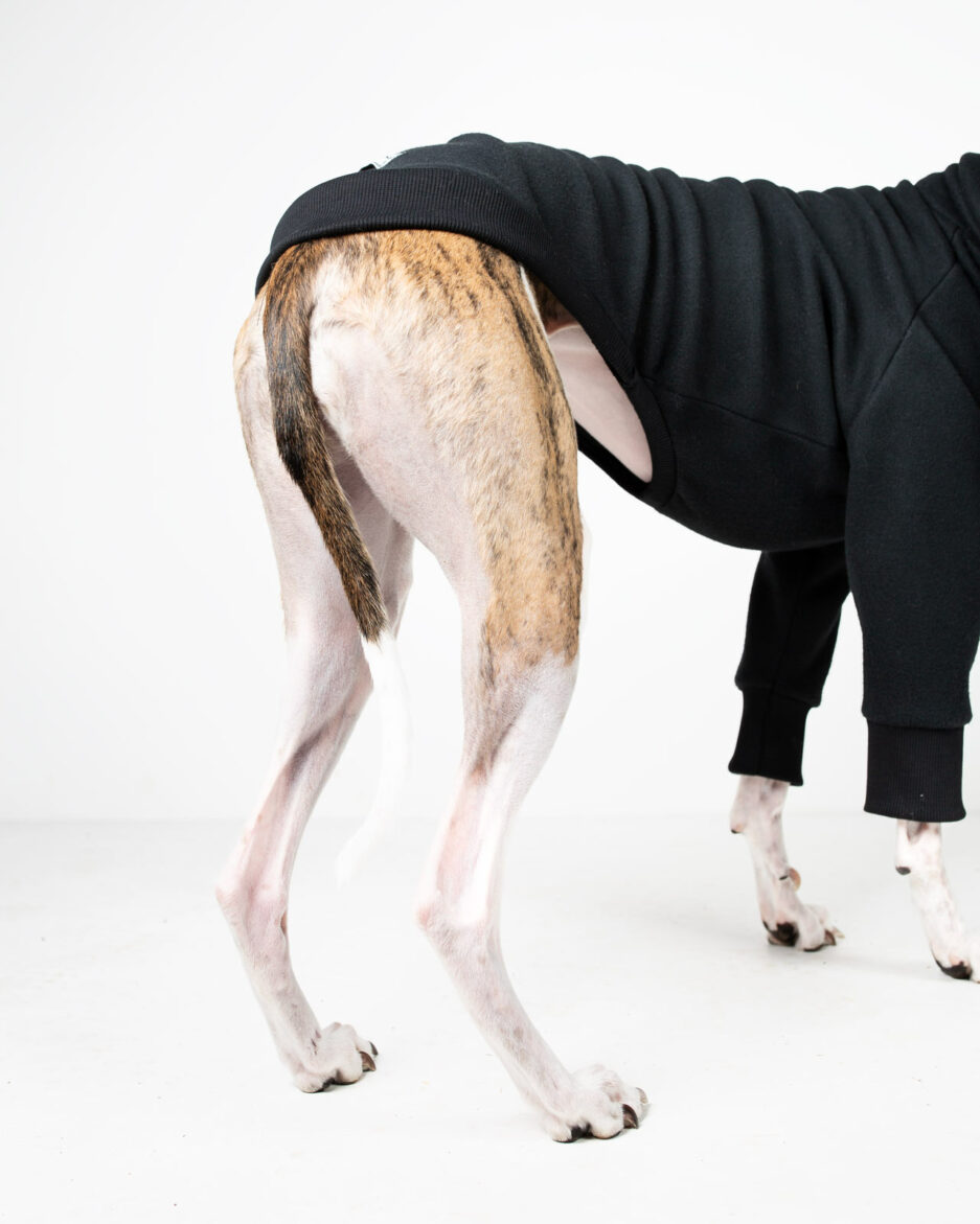 whippet clothes gabe black underbelly