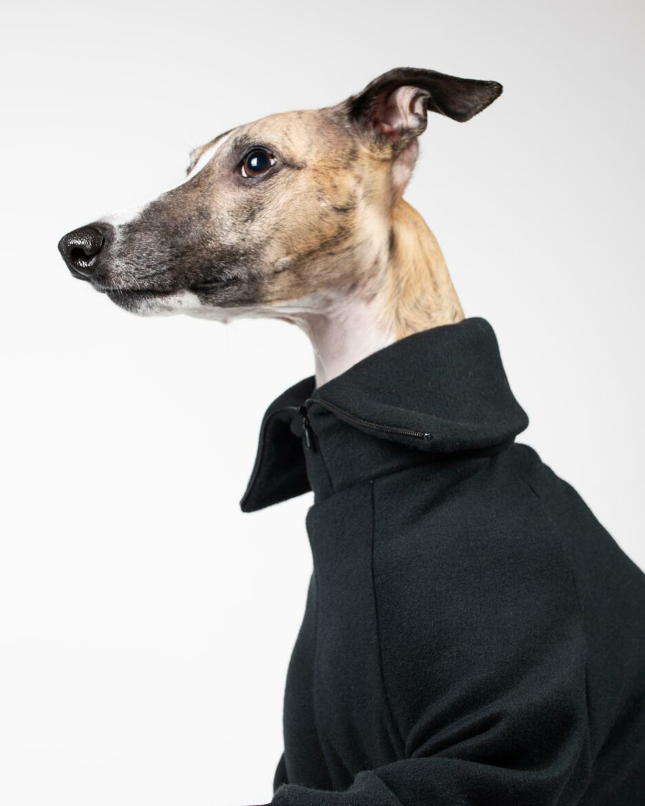 whippet clothes gabe black neck open