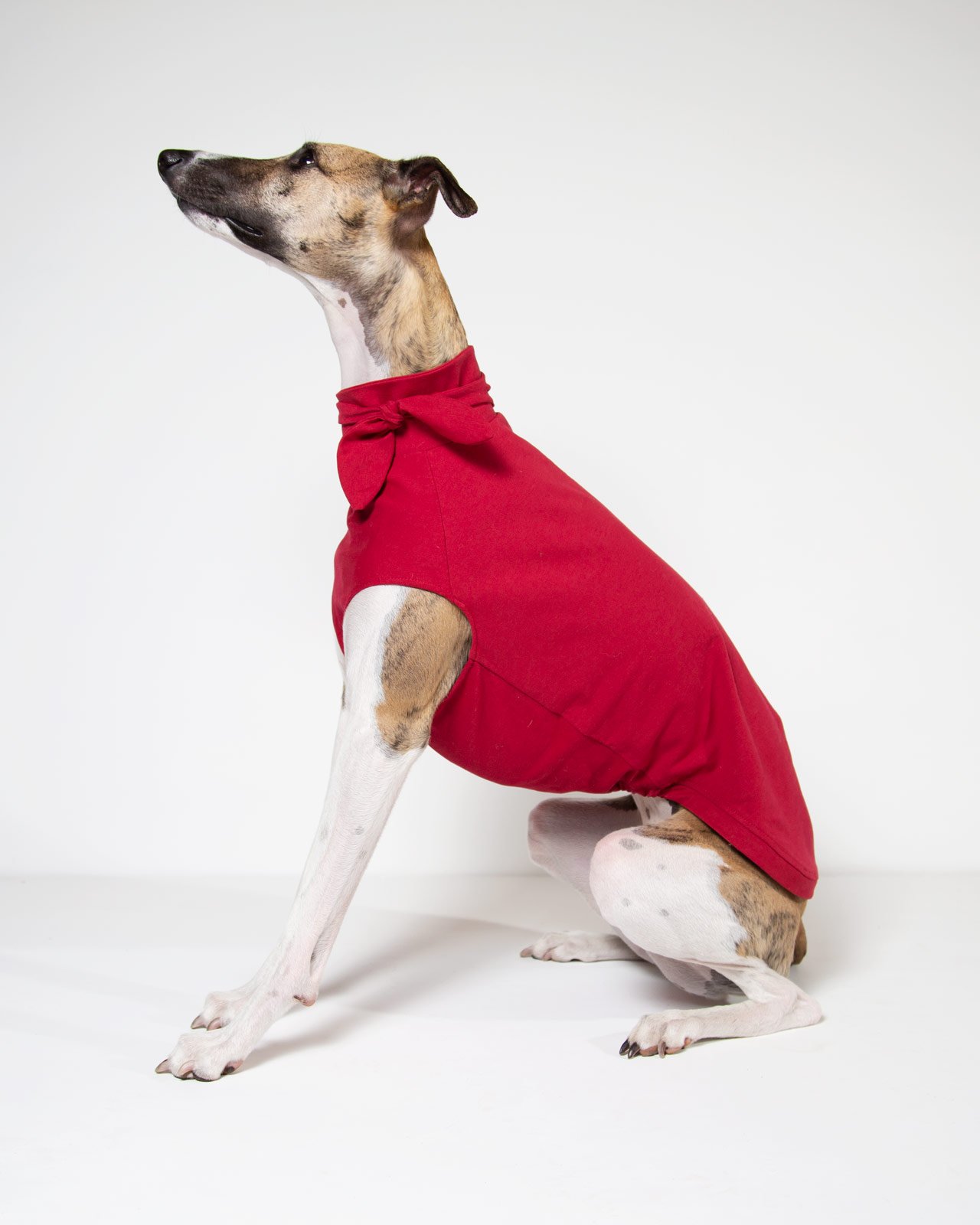 whippet red tie neck vest