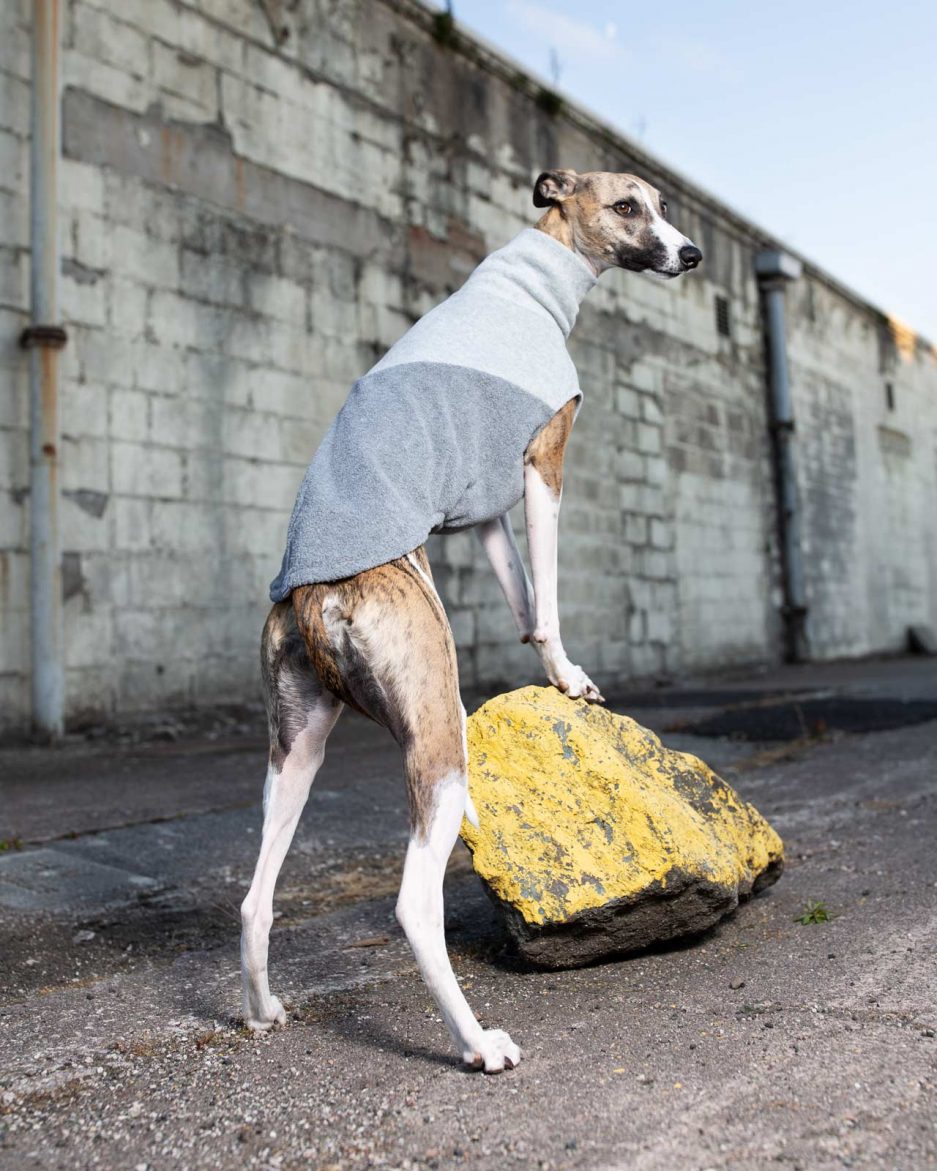 whippet fleece two tone grey whiptails