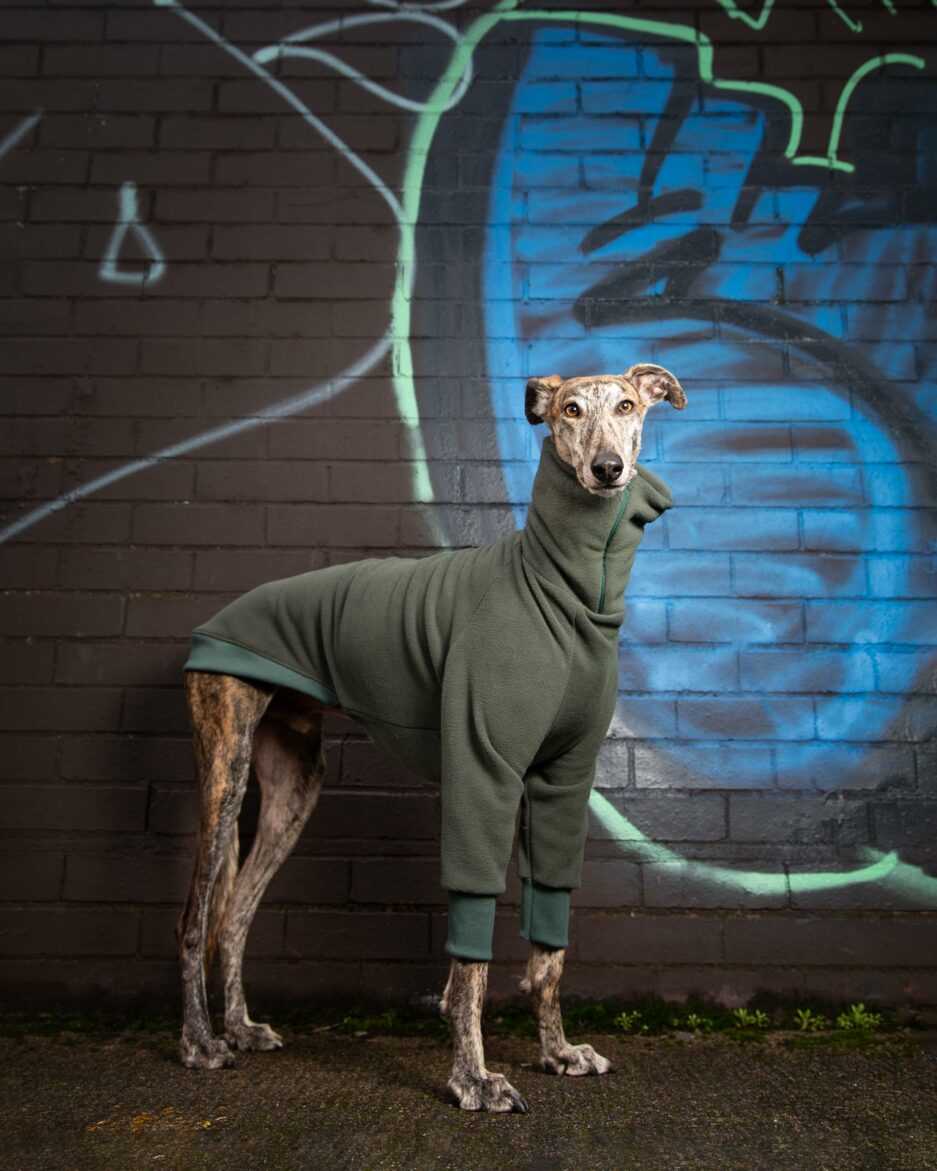 greyhound clothes gabe green on galgo in grafitti street