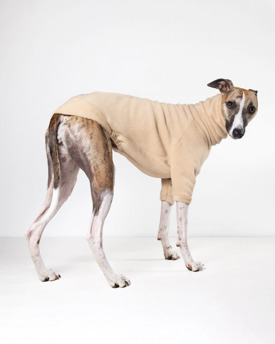 core range fleece in beige side view on whippet showing the jumper ending where the tail starts