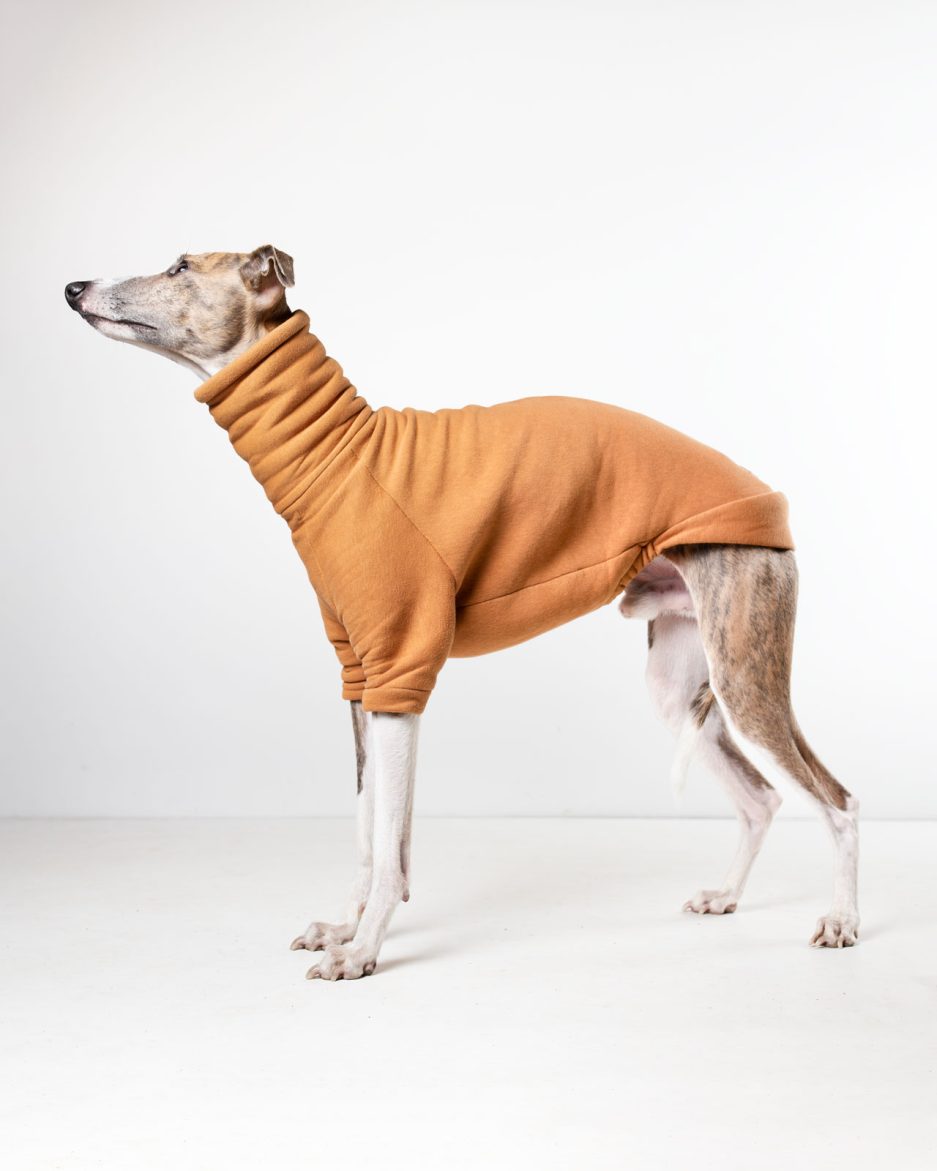 whiptails core whippet jumper greyhound jumper in cinnamon orange colour