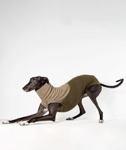 Greyhound Clothes
