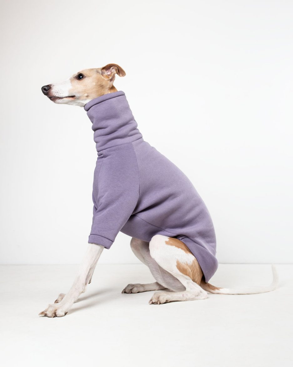 thistle core sweatshirt for whippets and greyhounds