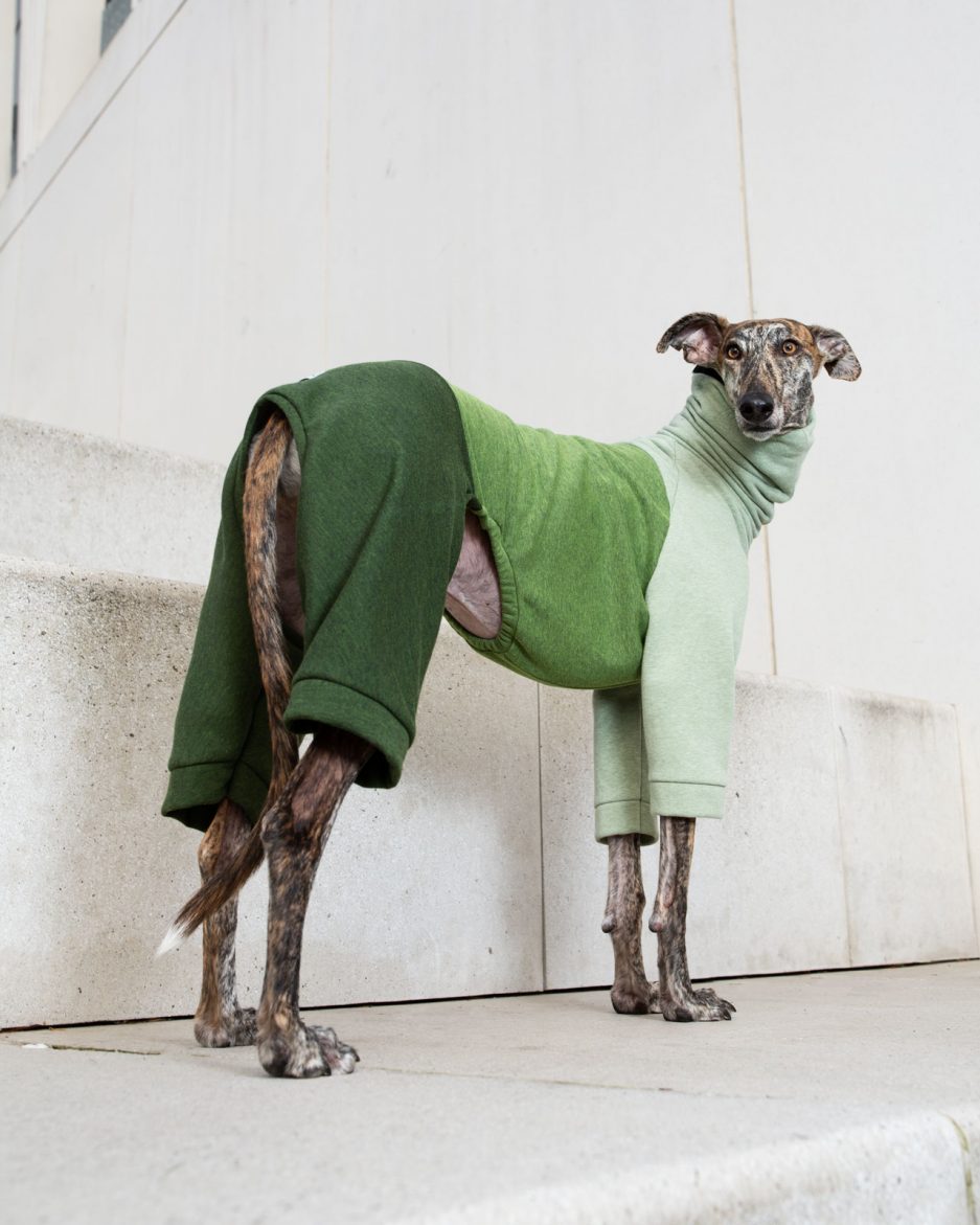 rise onesie back view on galgo