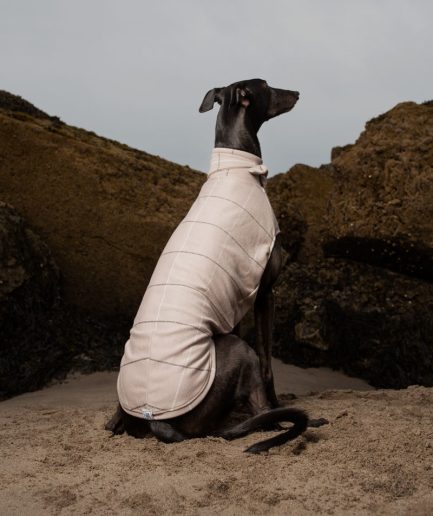 Greyhound Vests