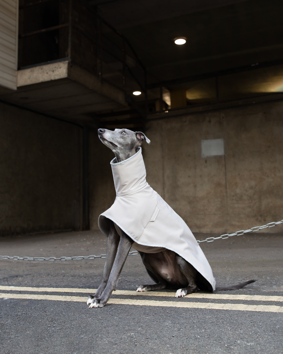 peel whippet coat greyhound coat coming soon