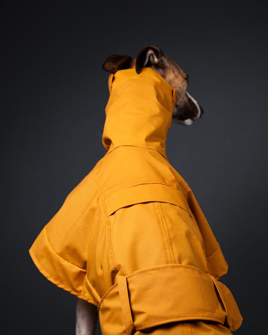 rowan ochre whippet coat closeup harness hole cover