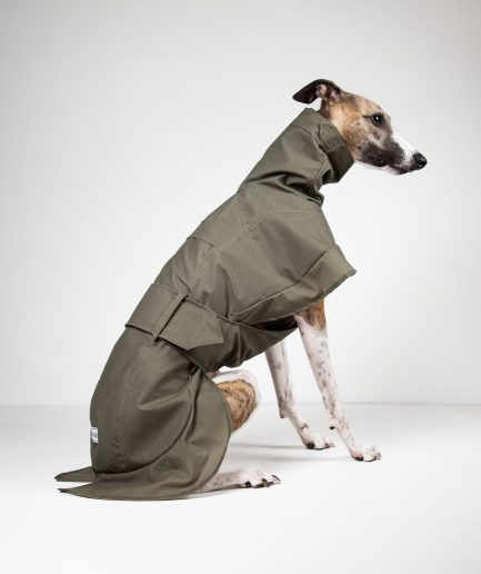 rowan pine green raincoat for whippets and greyhounds side view