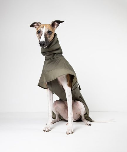 rowan pine raincoat for greyhounds and whippets front view