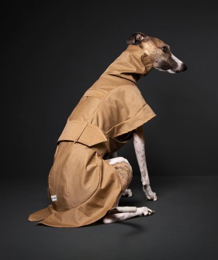 whiptails whippet coat rowan in tan, adjustable side strap with pointed tip