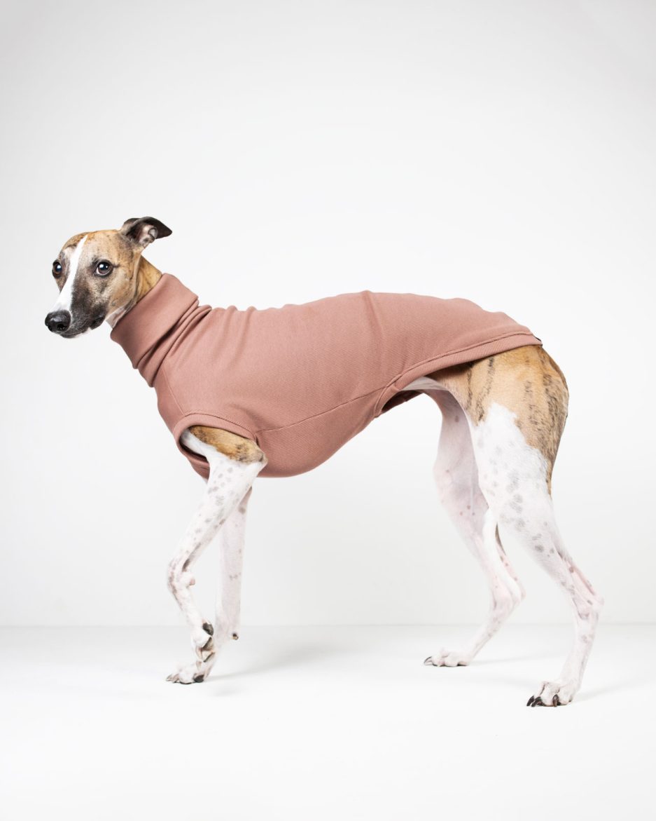 tillen rose whippet jumper side view with neck rolled