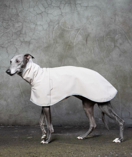 peel coat ash side view on grey whippet