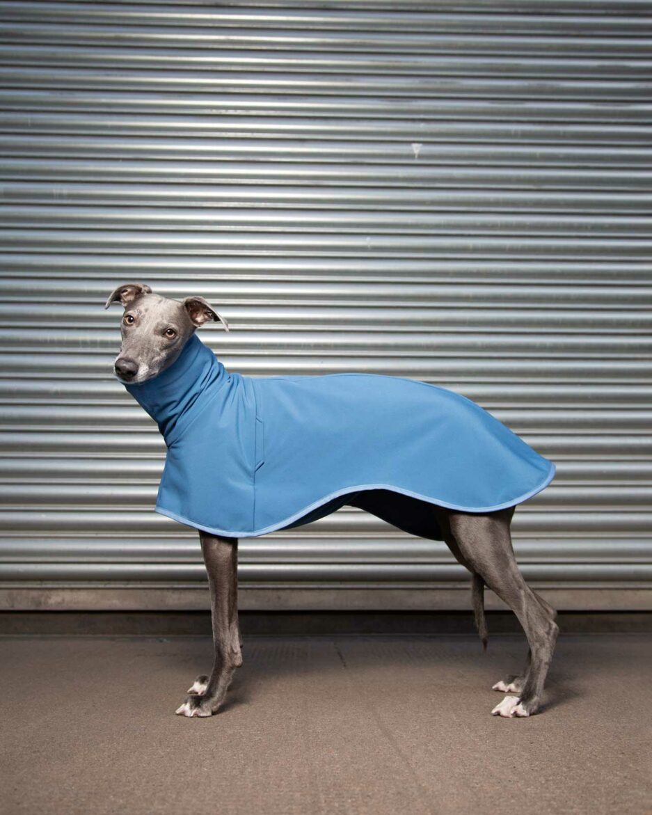 peel airforce whippet coat side view on grey whippet on city street