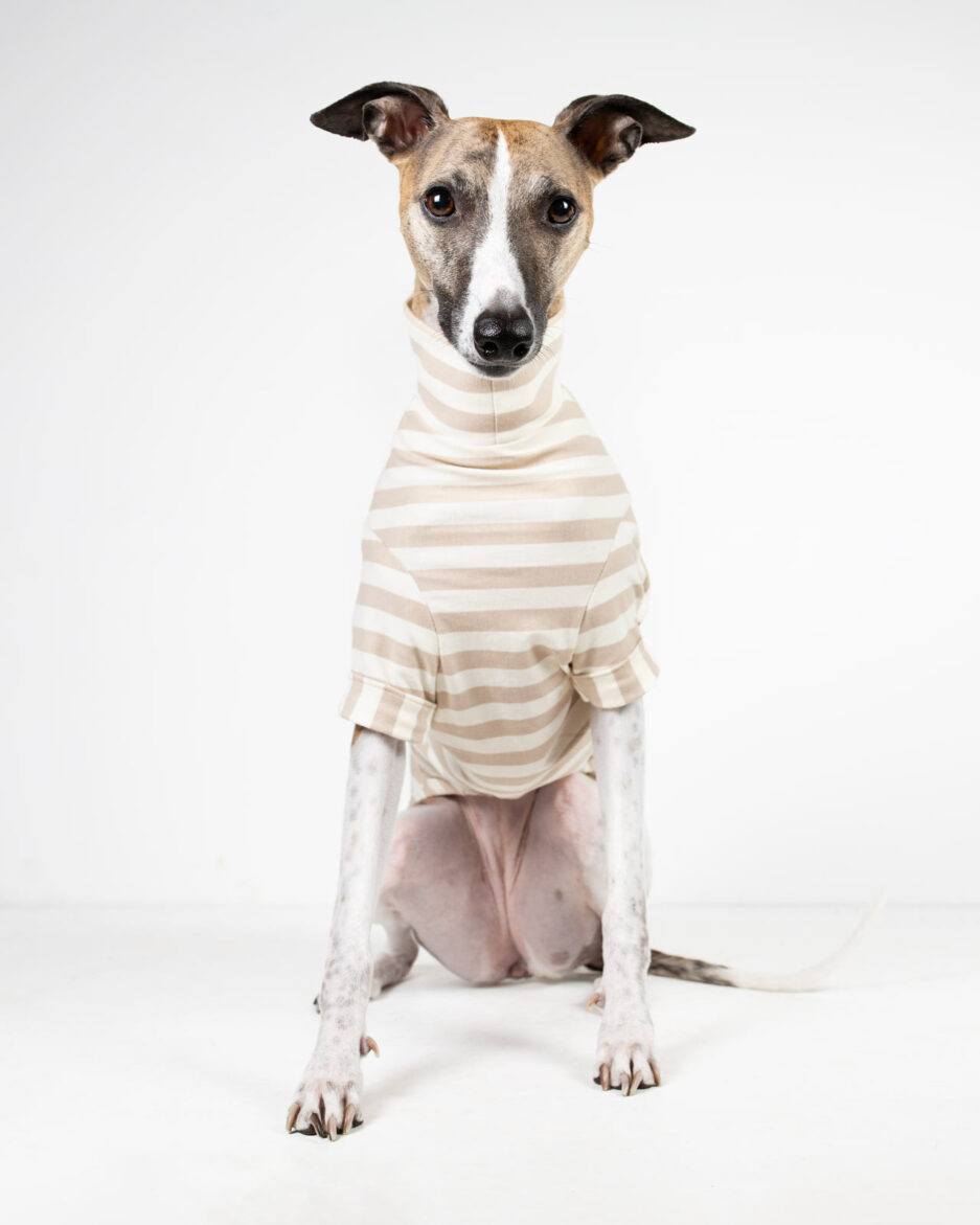 whippet tshirt sand whippet clothes